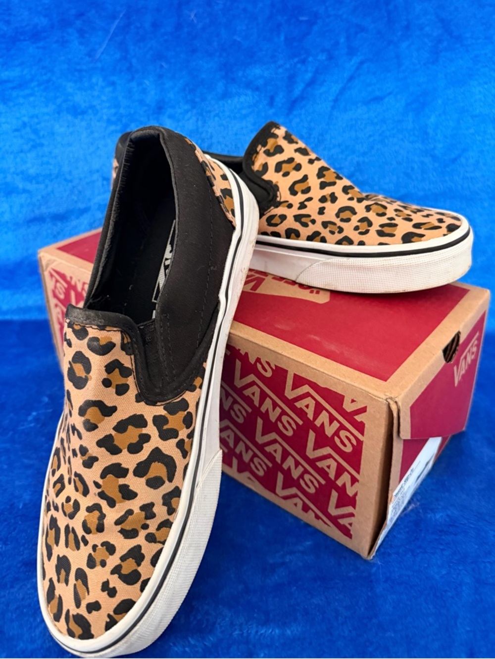 Vans Classic Slip-On in Leopard Print and Black